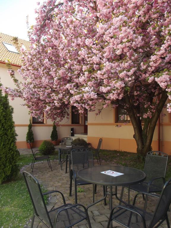 Pannon Hotel Bejelentkezes 20 Oraig, Check-In Until 20 O'Clock, Einchecken Bis 20 Uhr Mohacs Exterior photo
